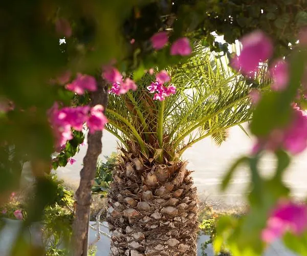 Beltramo Santorini 2 Bedroom Private Pool * Foinikiá