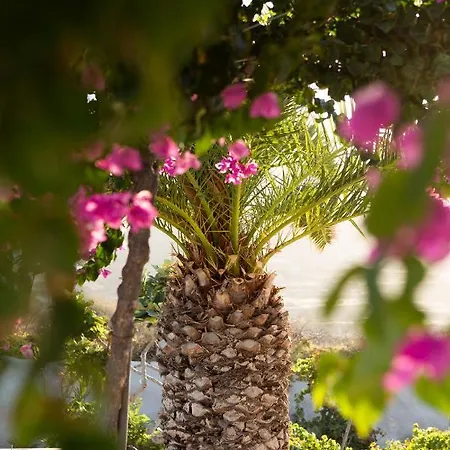 Beltramo Santorini 2 Bedroom Private Pool * Foinikiá